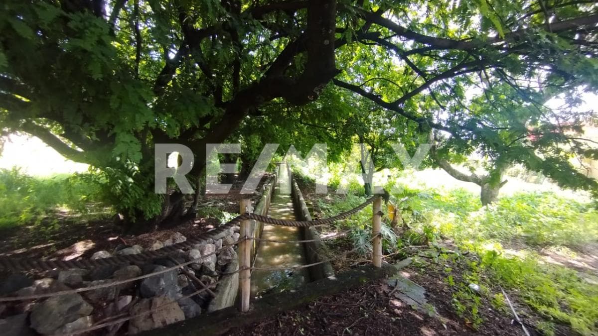 Land for Sale in Morelos, Yautepec