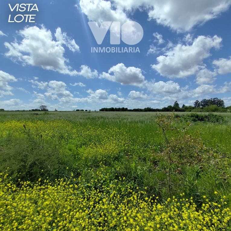 Lot in Villa San Jose