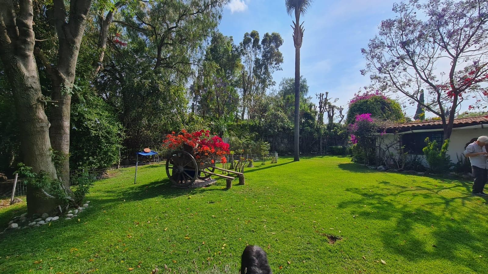BEAUTIFUL SINGLE-STORY HOUSE FOR SALE IN SAN JOSE DEL PUENTE, PUEBLA