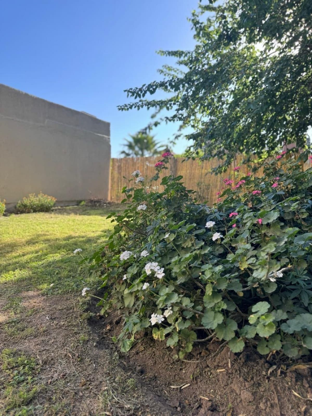 3-BEDROOM HOUSE FOR SALE IN THE NORTH ZONE OF HOUSING CALANDRIA