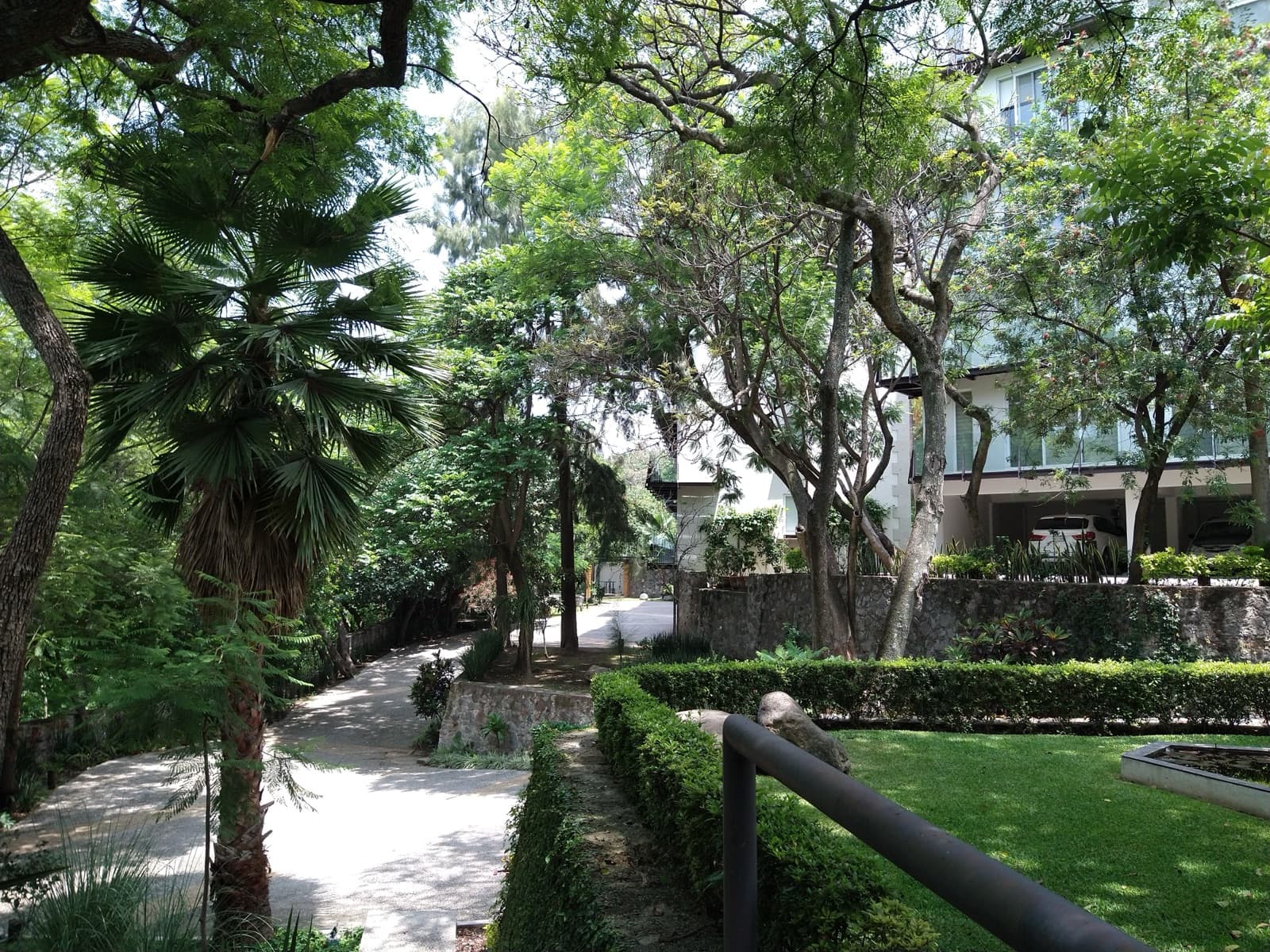 Department - Acapatzingo Village