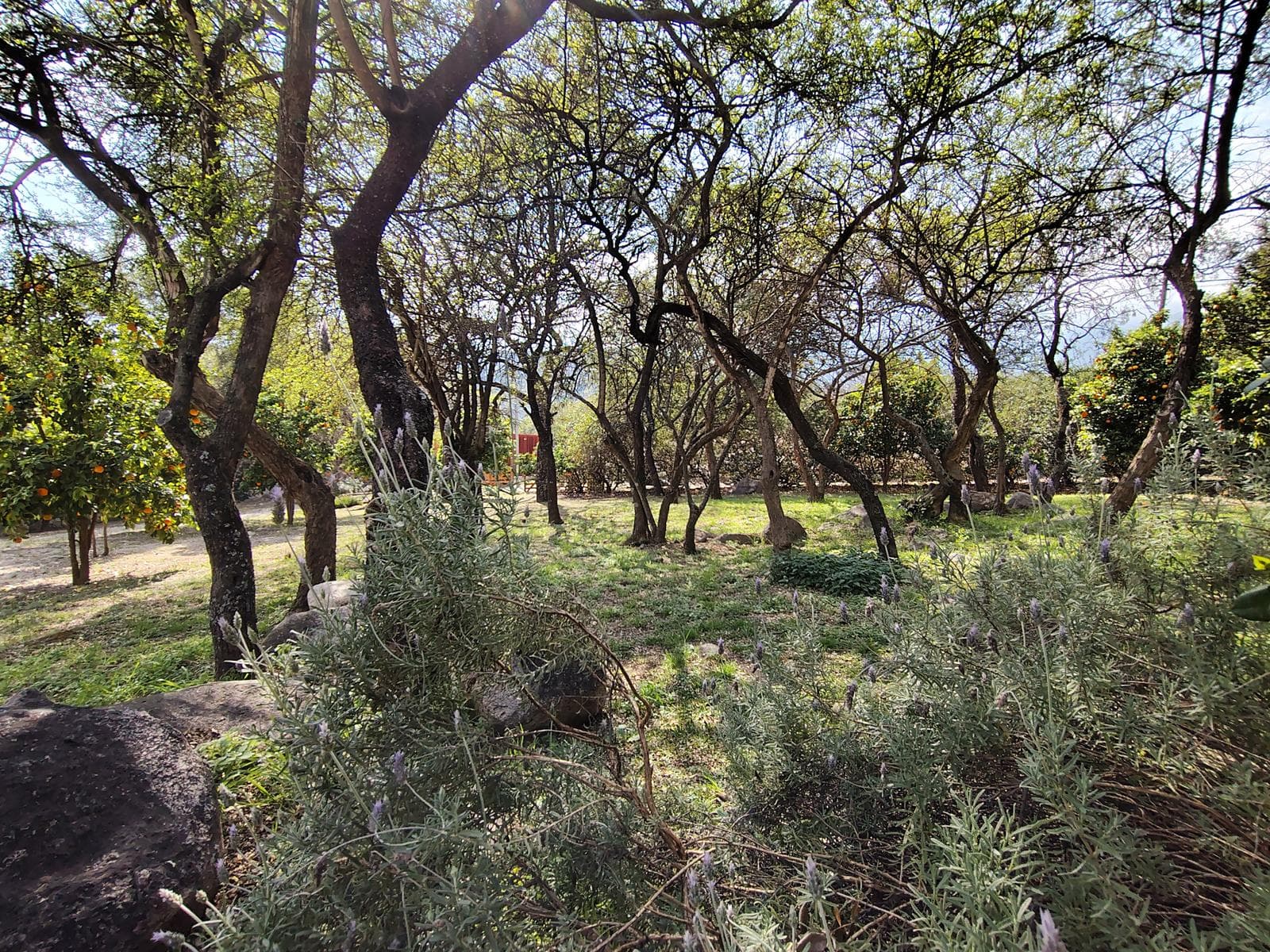Sustainable Home for Sale in Ecovilla in Las Chacras | Villa de Las Rosas