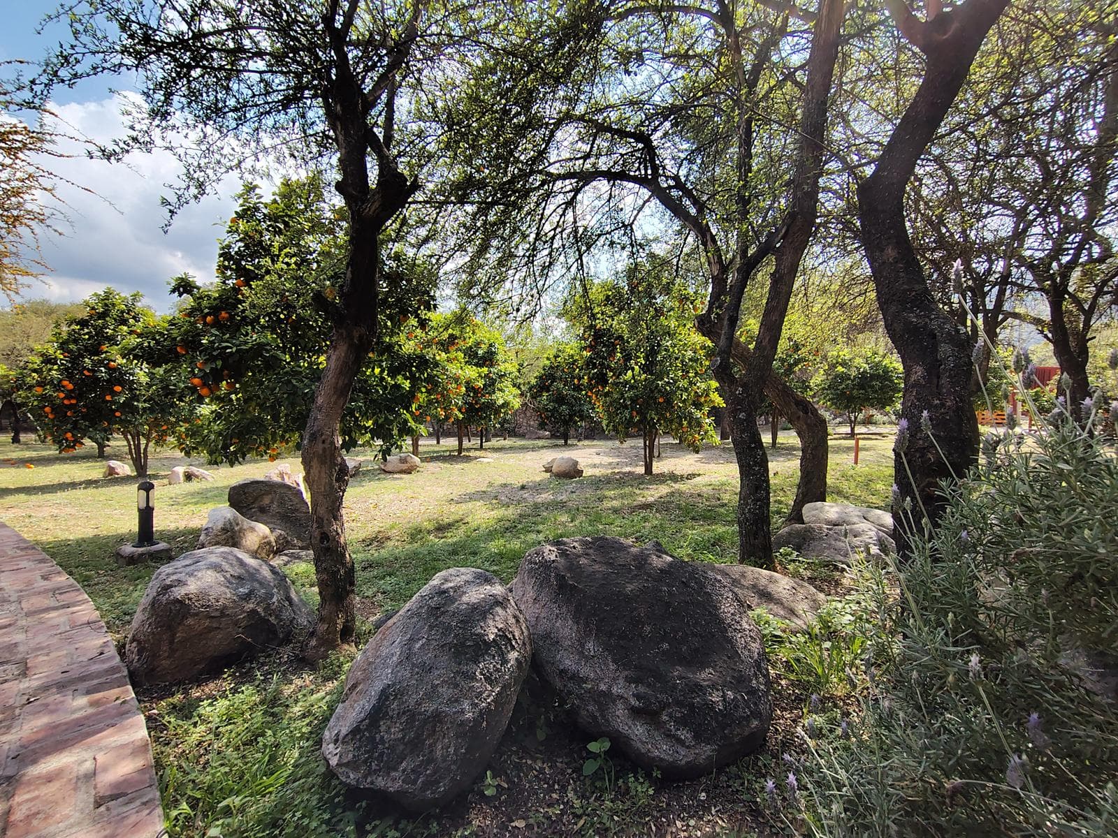 Sustainable Home for Sale in Ecovilla in Las Chacras | Villa de Las Rosas