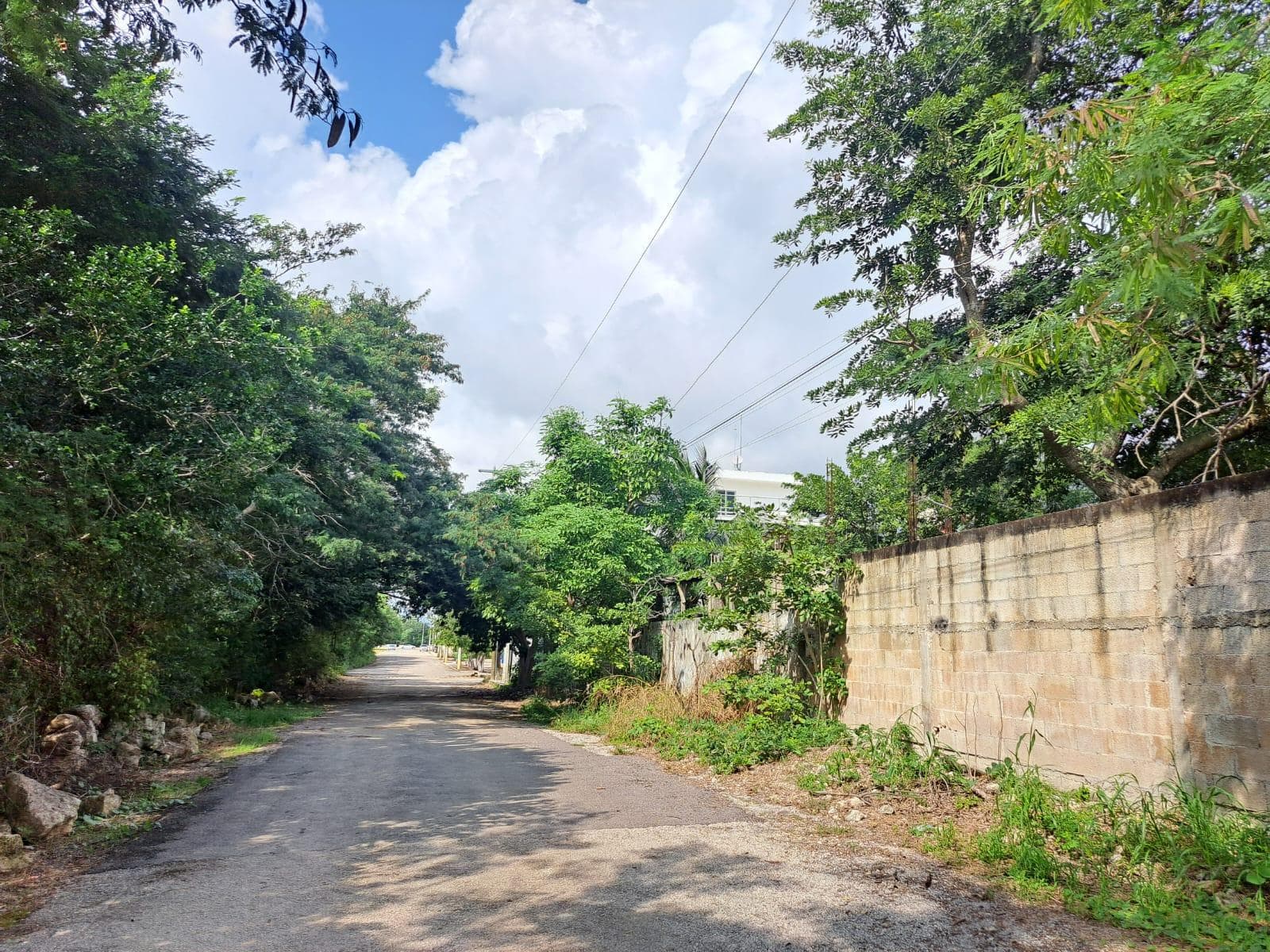 Land for Sale in Cholul, Mérida, Yucatán