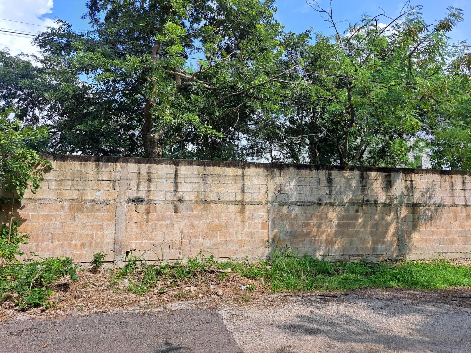 Land for Sale in Cholul, Mérida, Yucatán