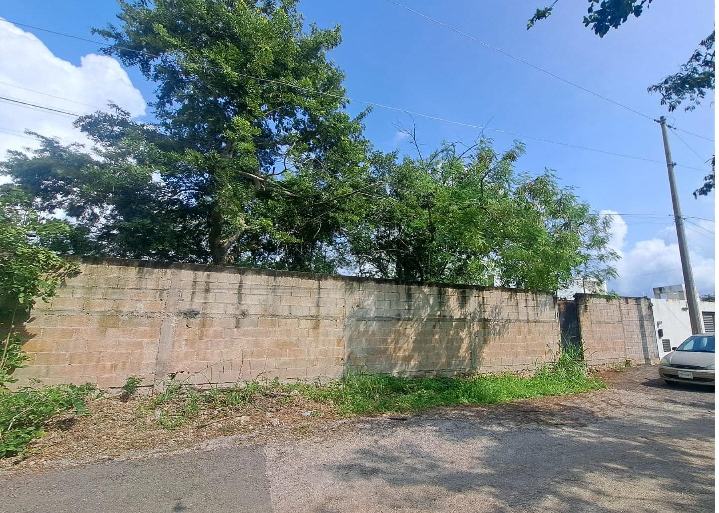 Land for Sale in Cholul, Mérida, Yucatán