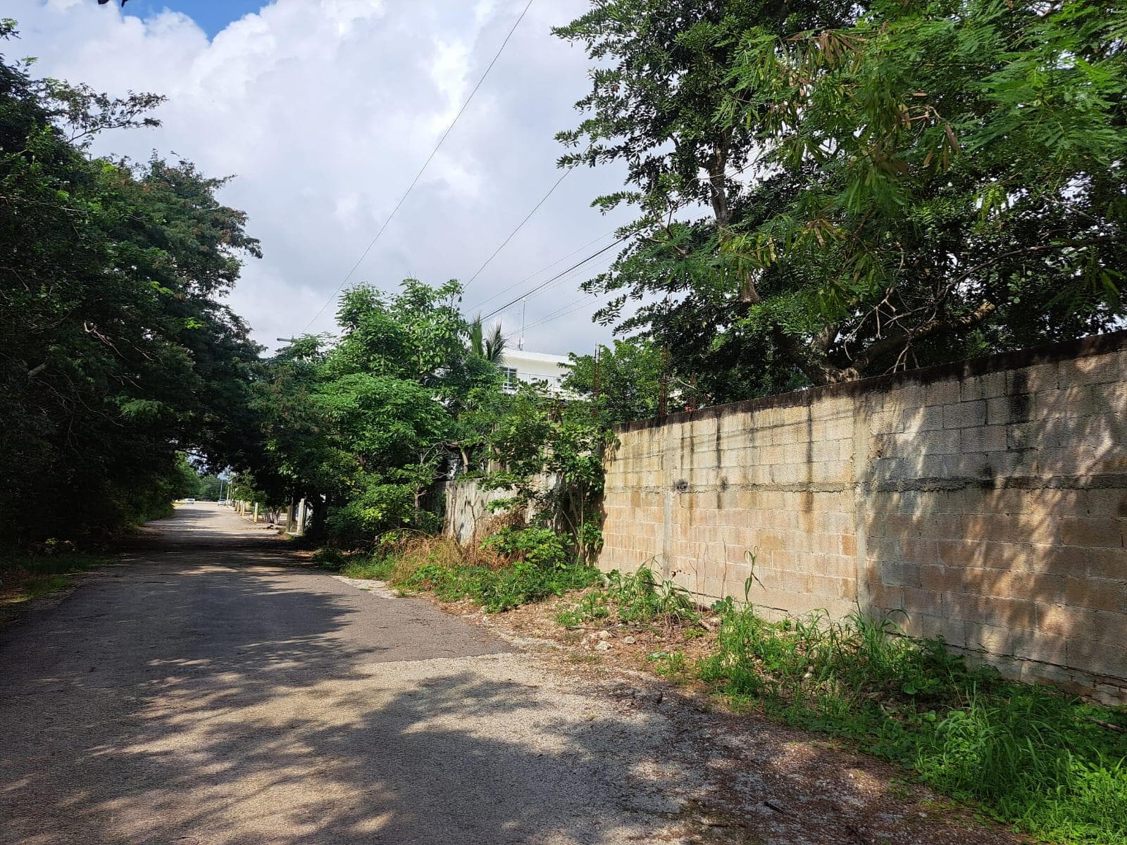 Land for sale in Cholul, Mérida, Yucatán