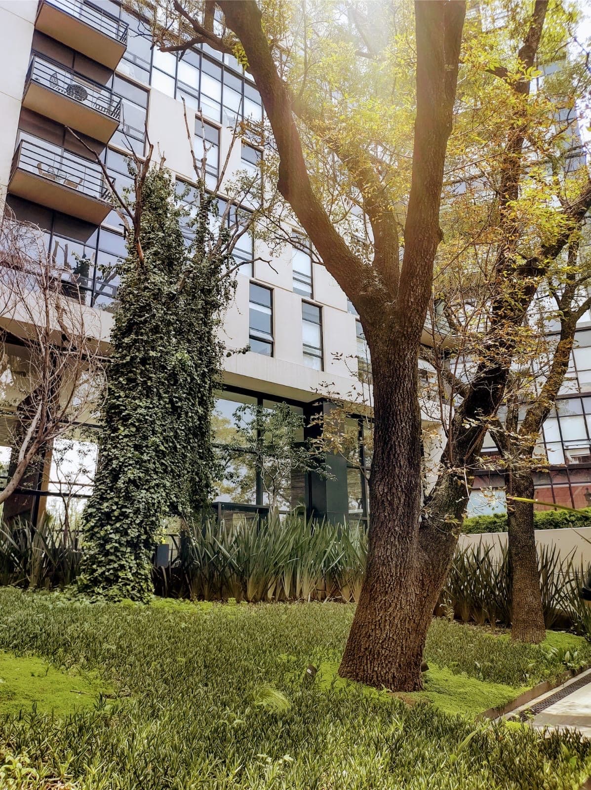 Apartment - San Pedro de los Pinos