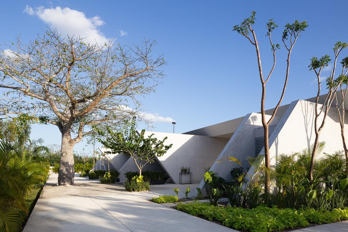 Premium Residential Lots for Sale in Kikteil, Yucatán