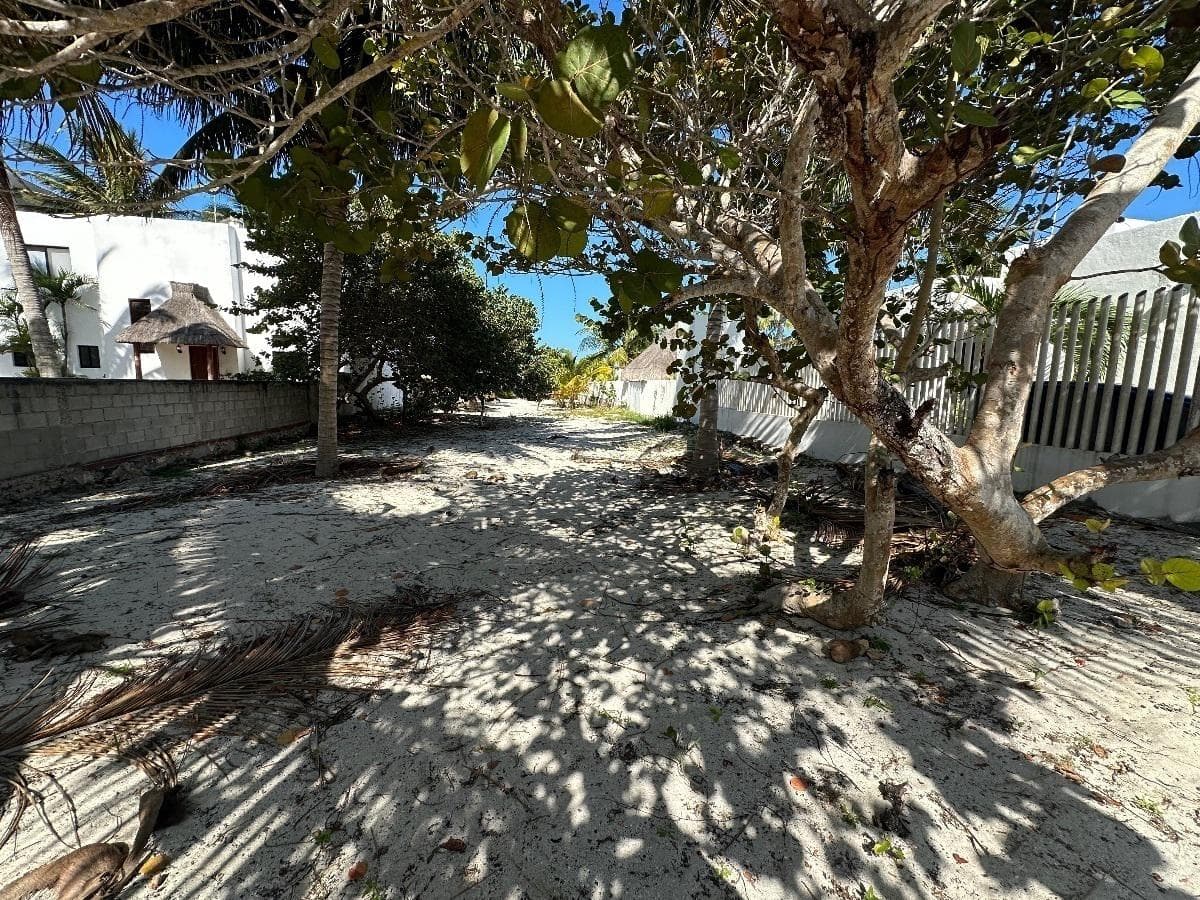 Land for Sale ON THE BEACH, DIRECTLY ON THE OCEAN, in Telchac, Mérida, Yucatán