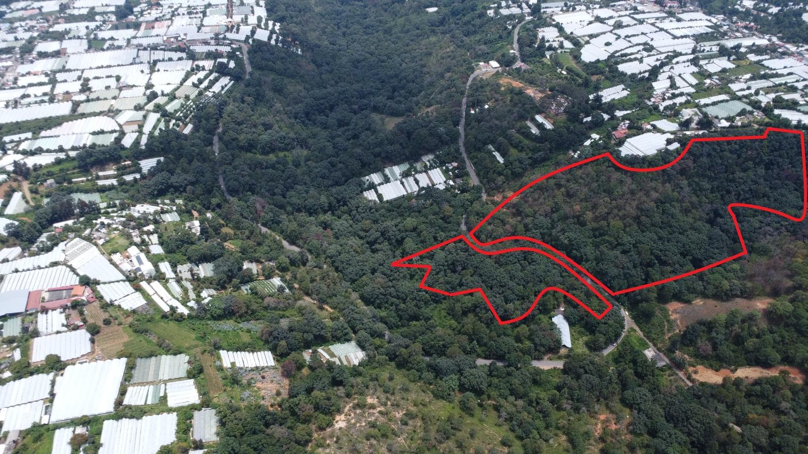 LAND FOR SALE IN ZACANGO LA BAJA, VILLA GUERRERO