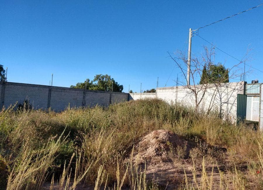 Lot / Land for Sale in El Huixmi