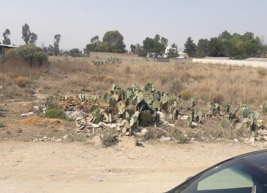 Lot / Land for Sale in Zempoala