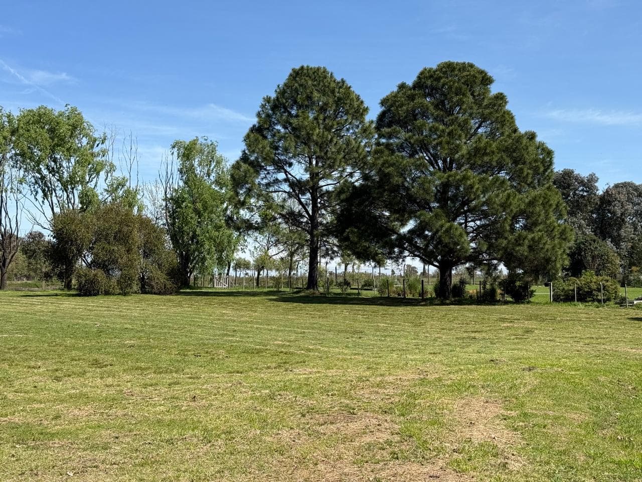 Land for Sale - Santa Catalina Country Club - Open House - LNI 943
