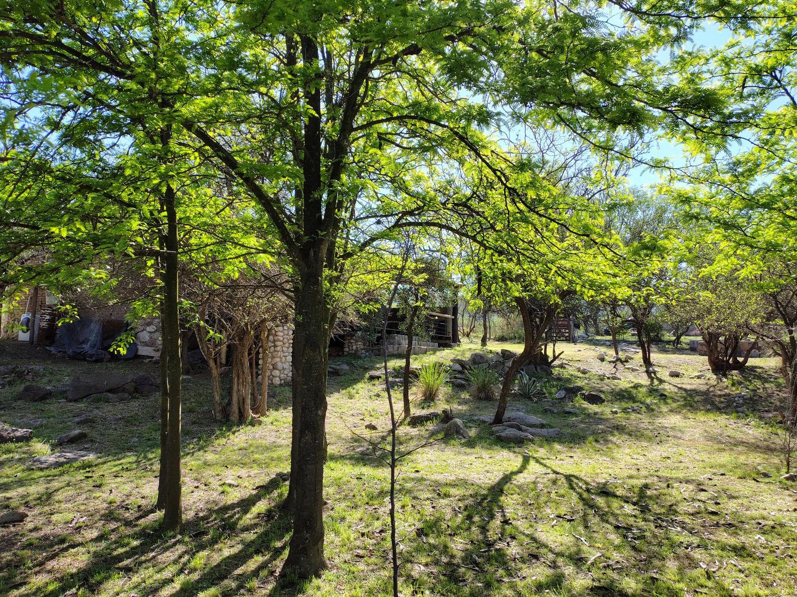 Adobe house in a natural setting, with a spacious porch overlooking the park | Camino al Dique | Villa de Las Rosas