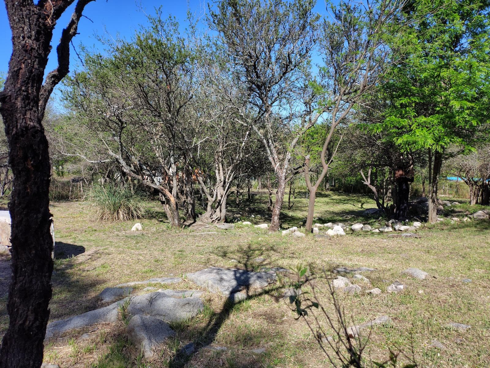 Adobe house in a natural setting, with a spacious porch overlooking the park | Camino al Dique | Villa de Las Rosas