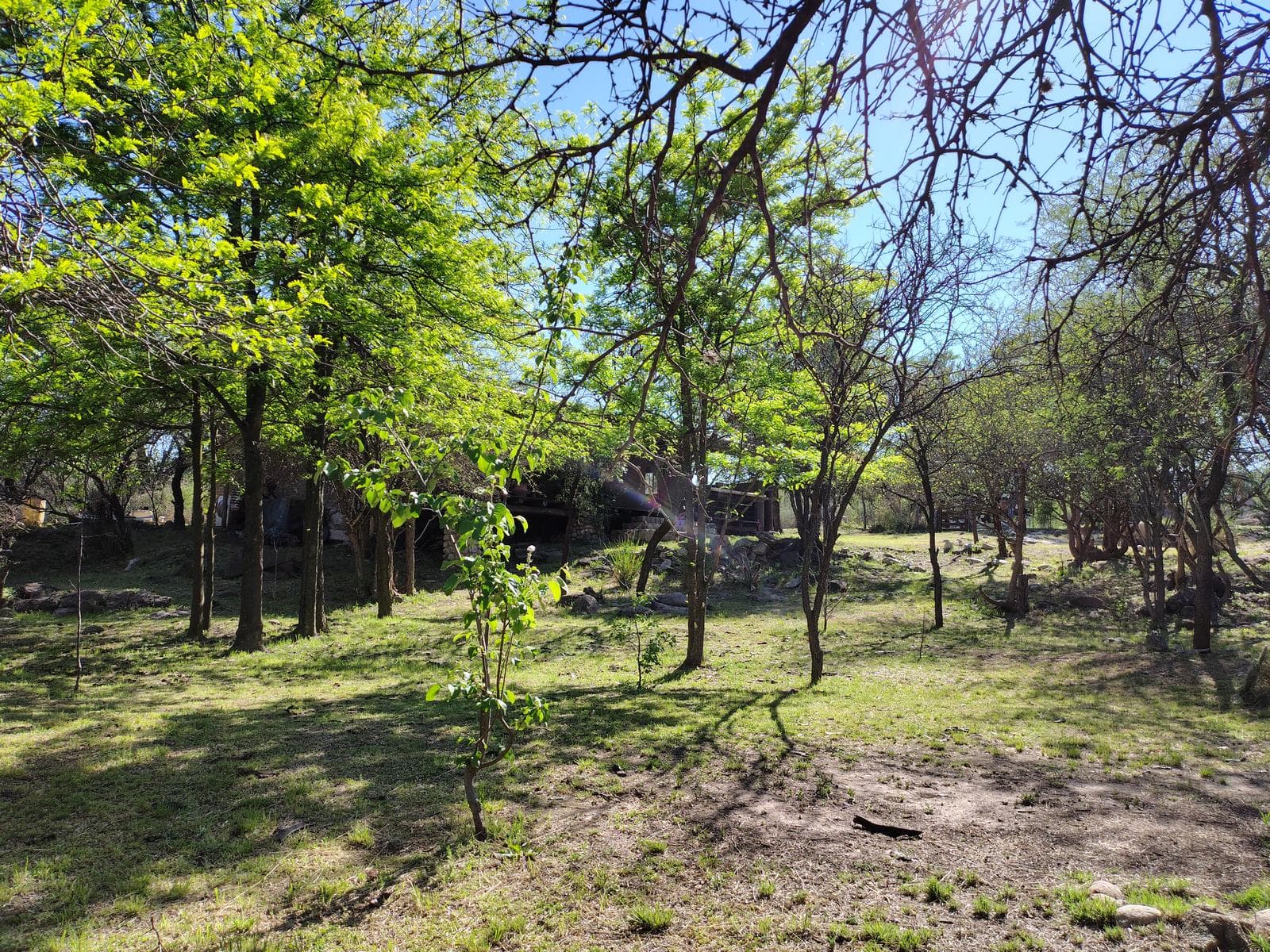 Adobe house in a natural setting, with a spacious porch overlooking the park | Camino al Dique | Villa de Las Rosas