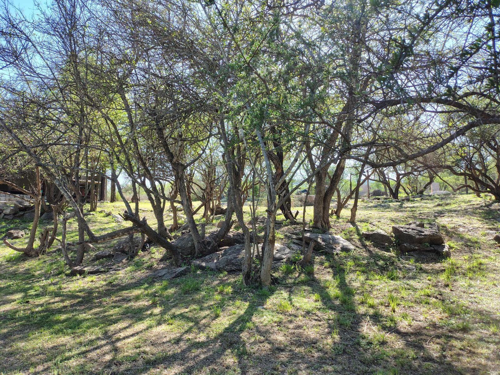Adobe house in a natural setting, with a spacious porch overlooking the park | Camino al Dique | Villa de Las Rosas