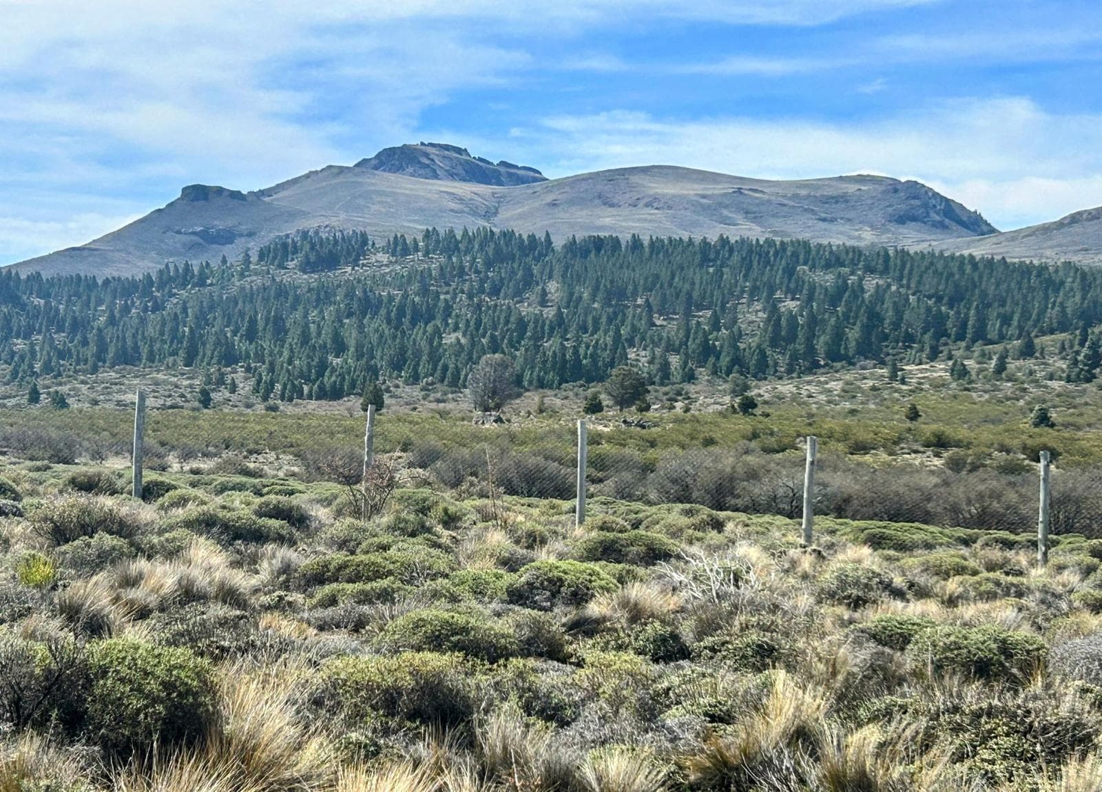 Land in Barrancas de Dina Huapi