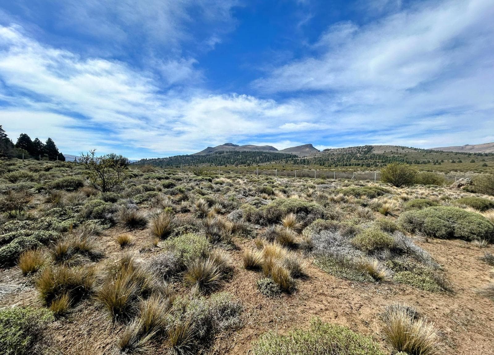 Land in Barrancas de Dina Huapi