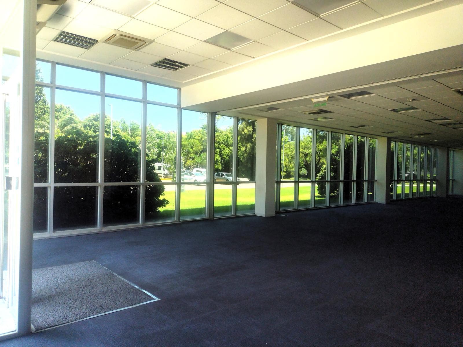 CORPORATE OFFICE ON PANAMERICANA AND HENRY FORD—FOR RENT