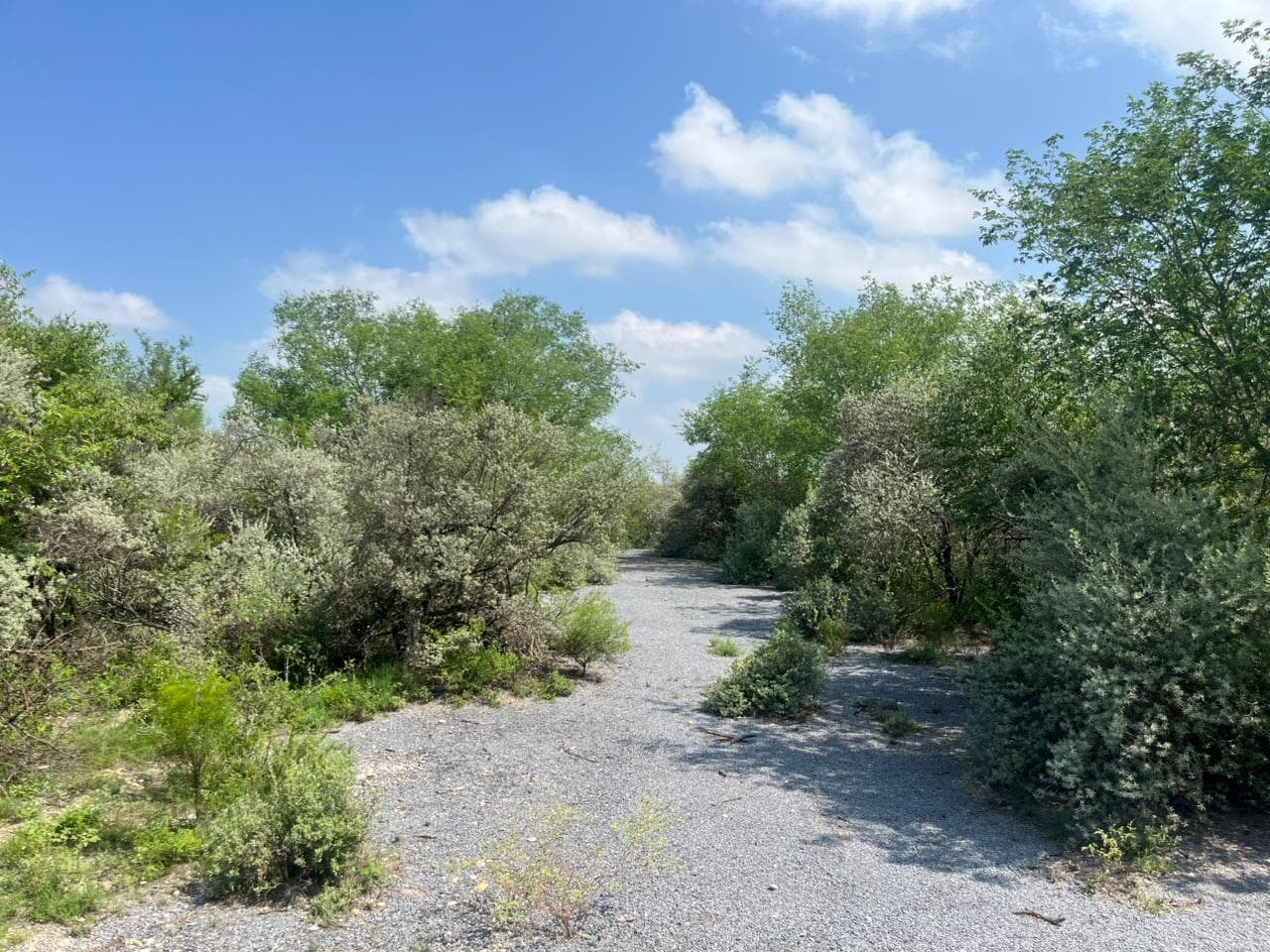 LAND IN EL FRAILE, MONTEMORELOS, NUEVO LEÓN
