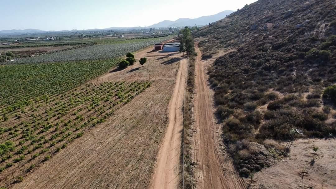 Land for Sale in the Heart of Valle de Guadalupe