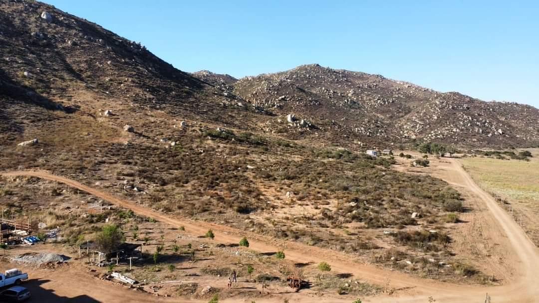 Land for Sale in the Heart of Valle de Guadalupe