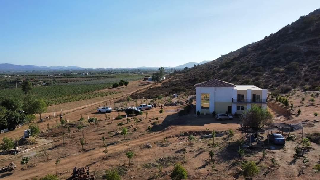 Land for Sale in the Heart of Valle de Guadalupe