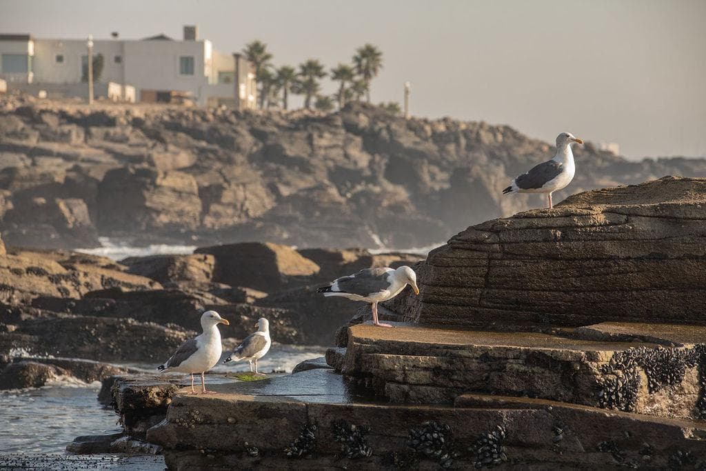 House in PUNTA PIEDRA, ENSENADA, DRACO