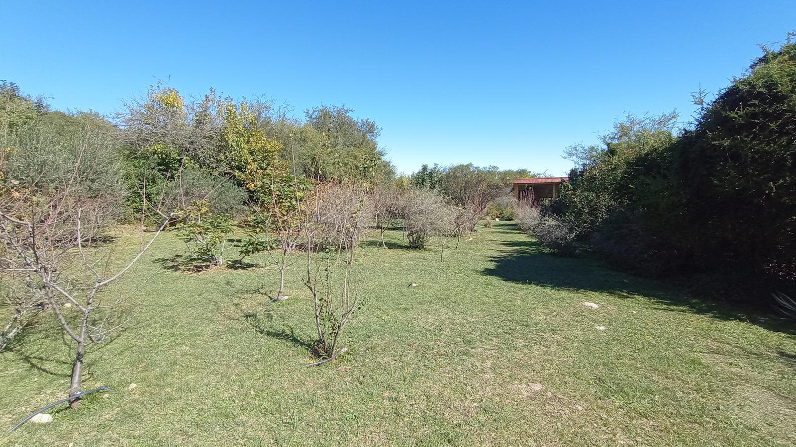 High-Altitude Ranch in Villa de Las Rosas | 2.5 Hectares | Nestled Between Mountains and Valleys