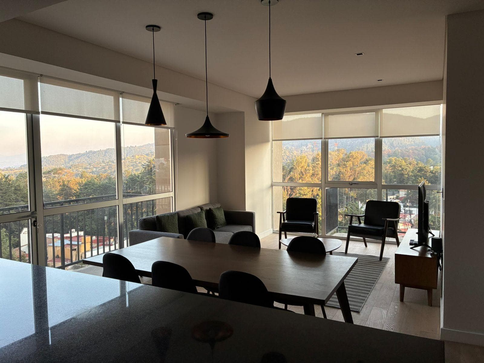 LIVING ROOM, RENT, 2 BEDROOMS, FURNISHED, FOREST VIEW