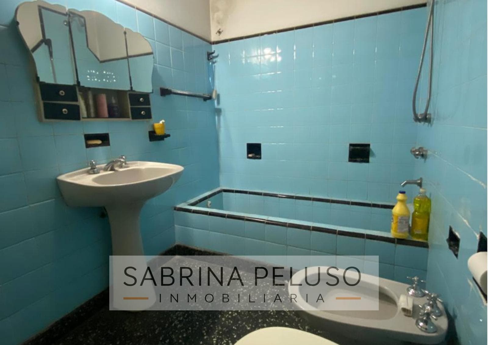 House in Castelar
