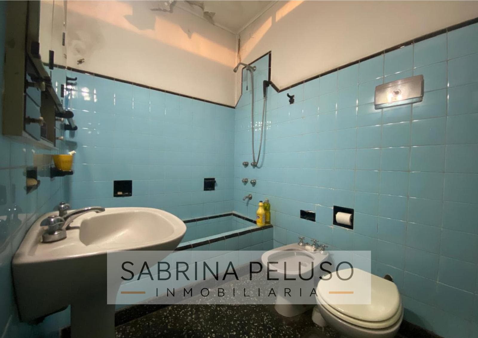 House in Castelar
