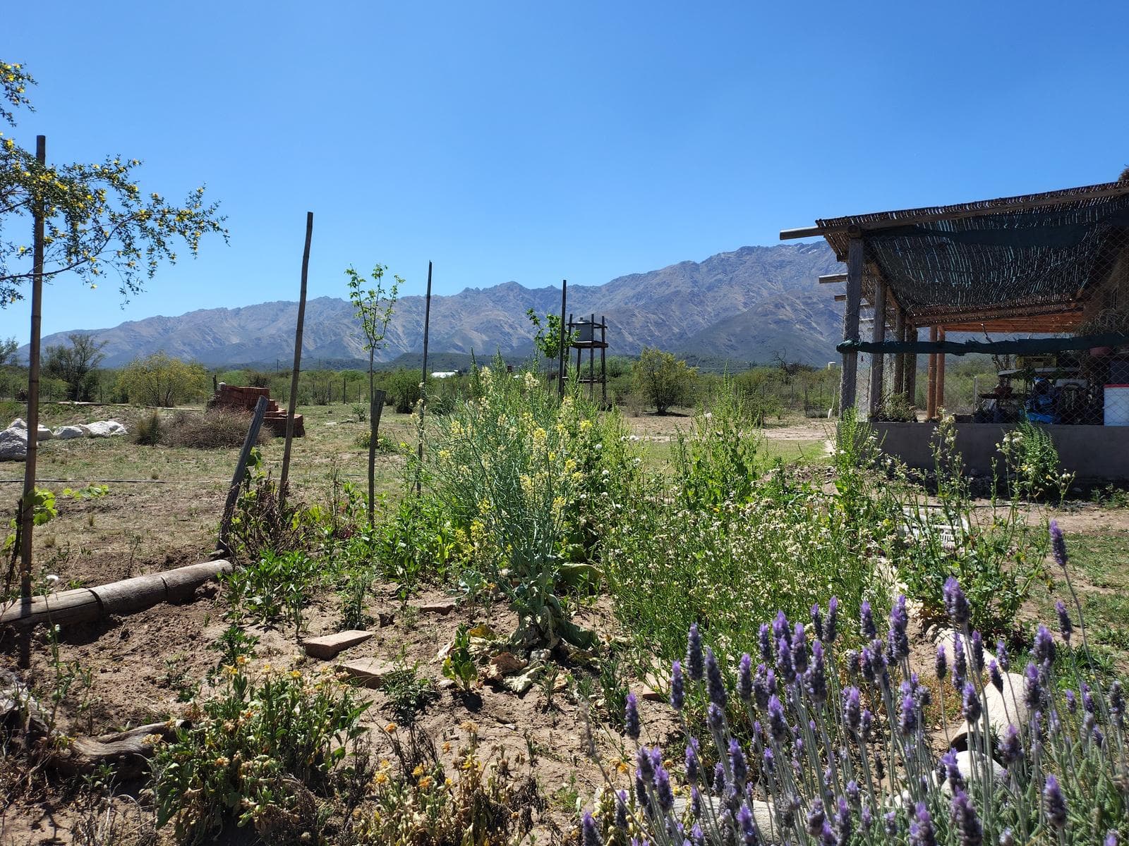 House in Achiras Arriba | San Javier | 360° View of the Mountains | 3,600 m² Lot