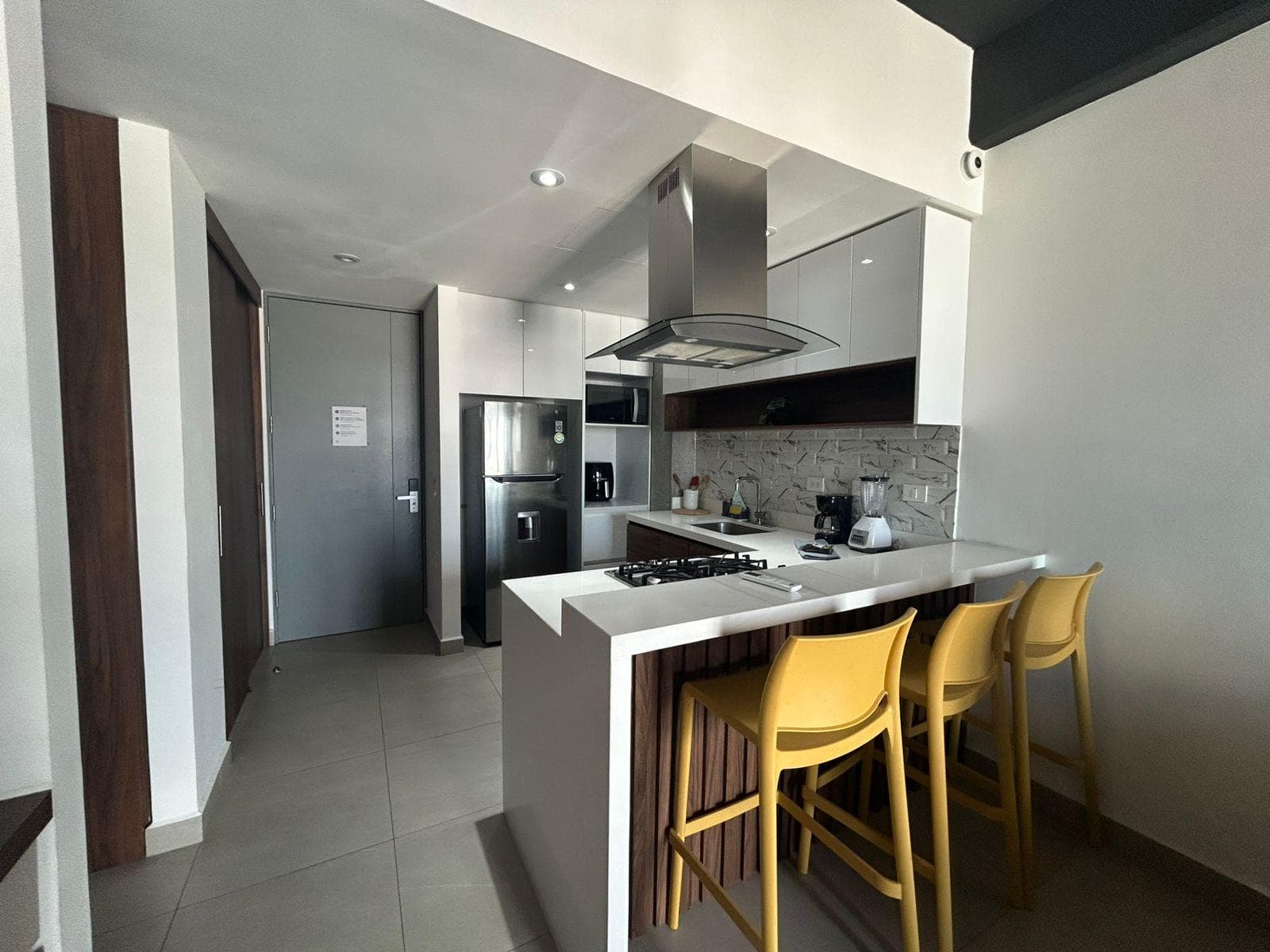 APARTMENT FOR RENT IN TORRE MITT