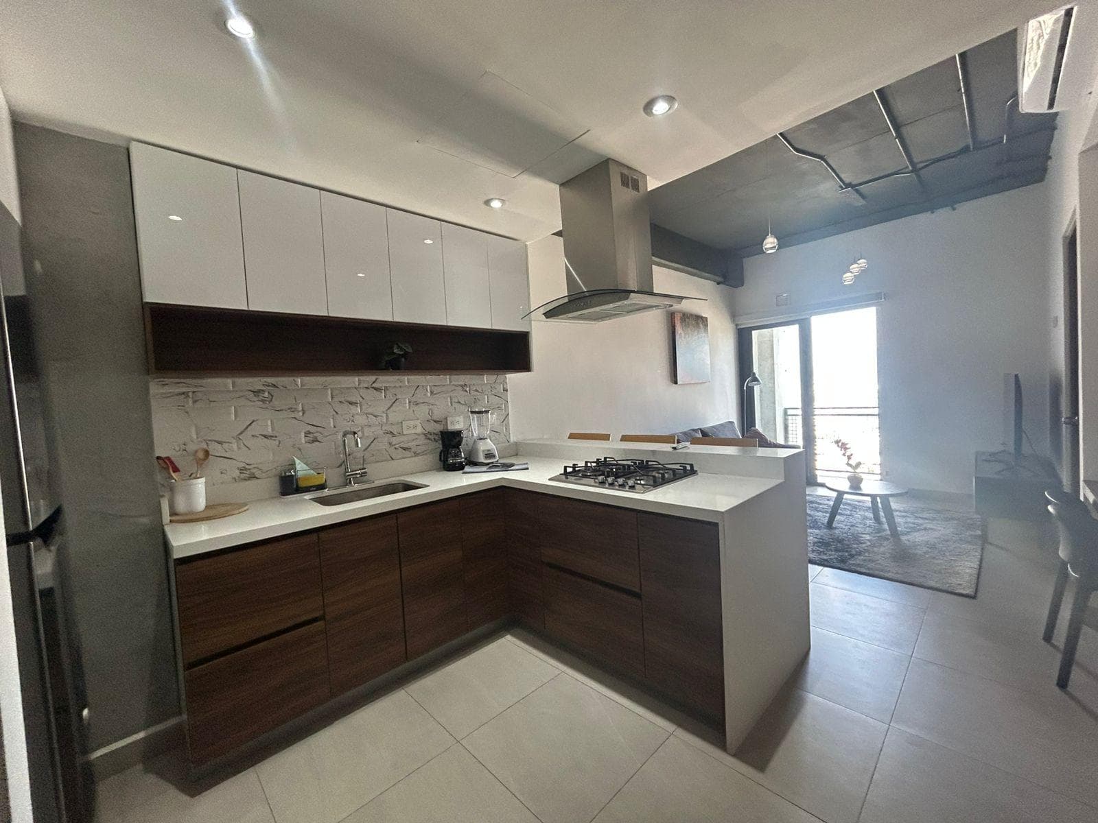 APARTMENT FOR RENT IN TORRE MITT