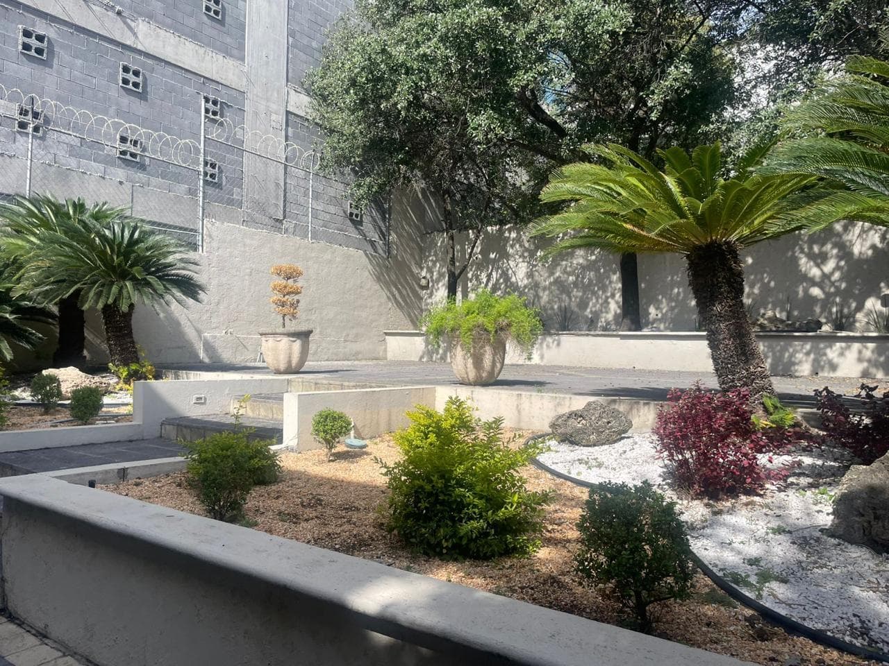 OFFICE FOR RENT ON AV HIDALGO OBISPADO