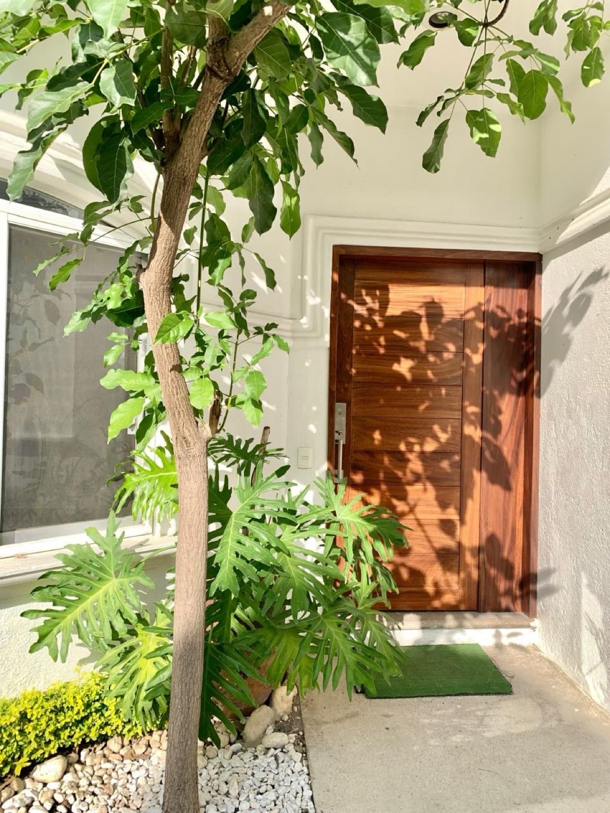 House - Burgos Bugambilias Subdivision
