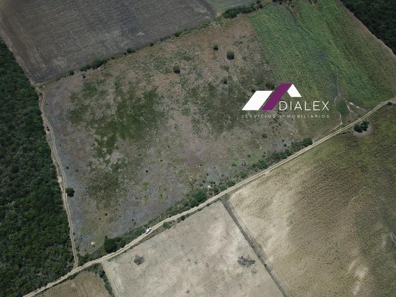 FOR SALE: 50,000 m2 lot in LOS PALMITOS, Cadereyta, with 242 meters of frontage, in a rapidly growing area