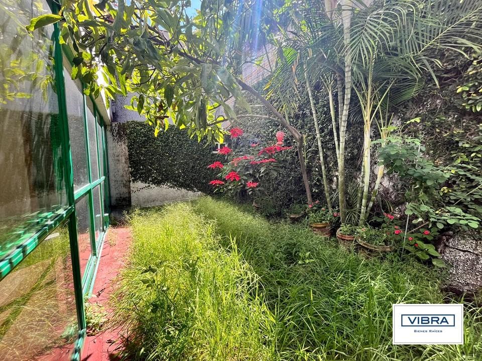 House in Mixcoac