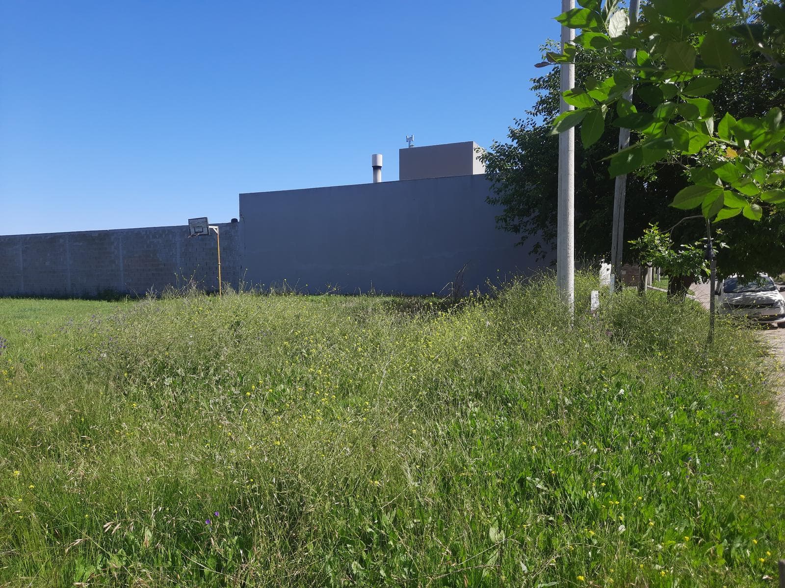 Land in Gualeguaychu