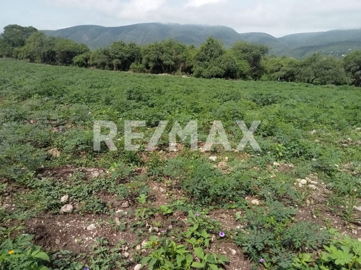 Land in the town of Tlaltizapan de Pacheco