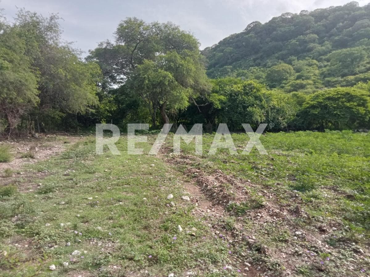 Land in the town of Tlaltizapan de Pacheco