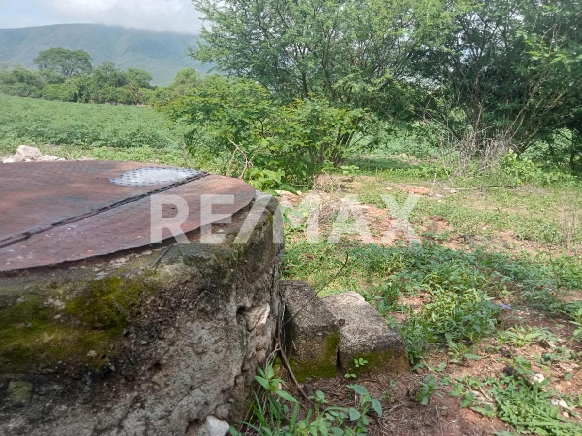 Land in the town of Tlaltizapan de Pacheco