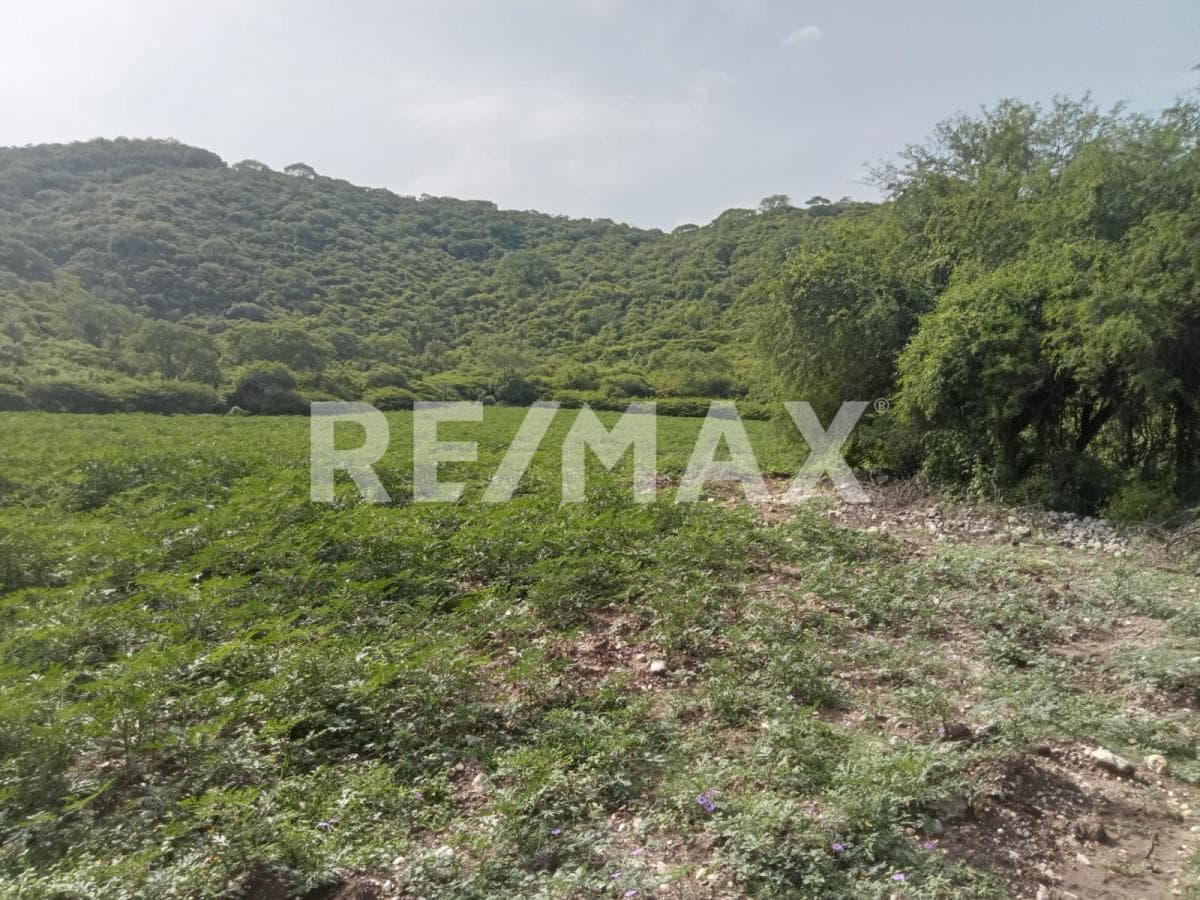 Land in the town of Tlaltizapan de Pacheco