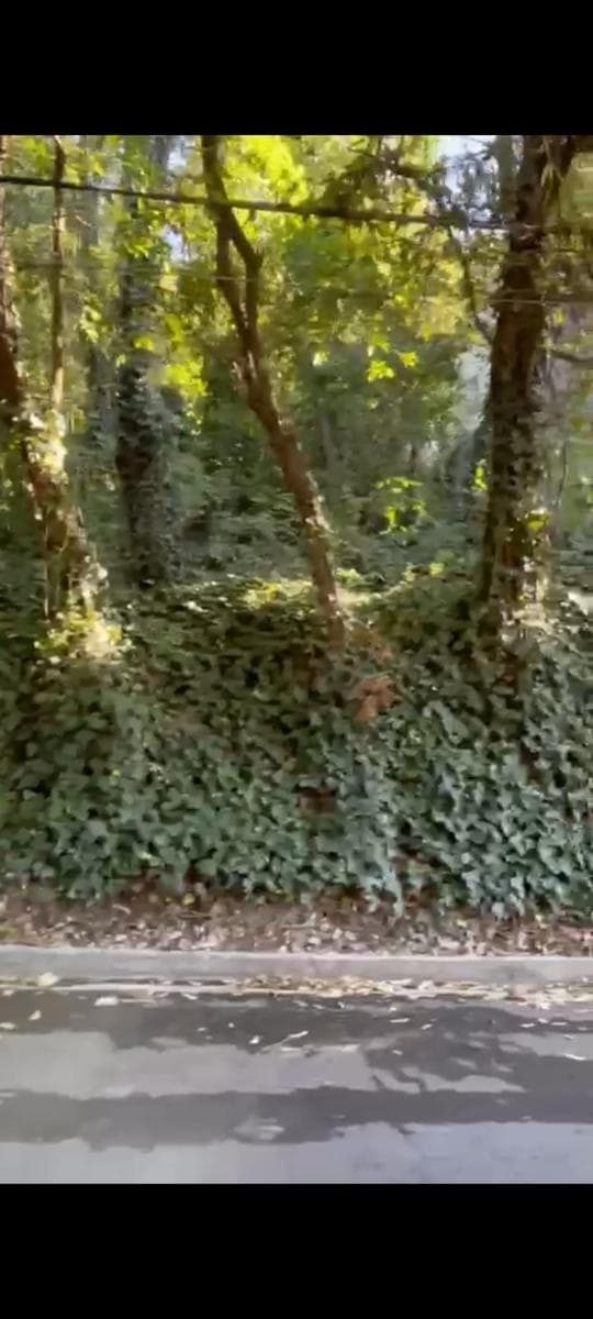 LAND FOR SALE IN BOSQUES DE SAN ANGEL, PALMILLAS