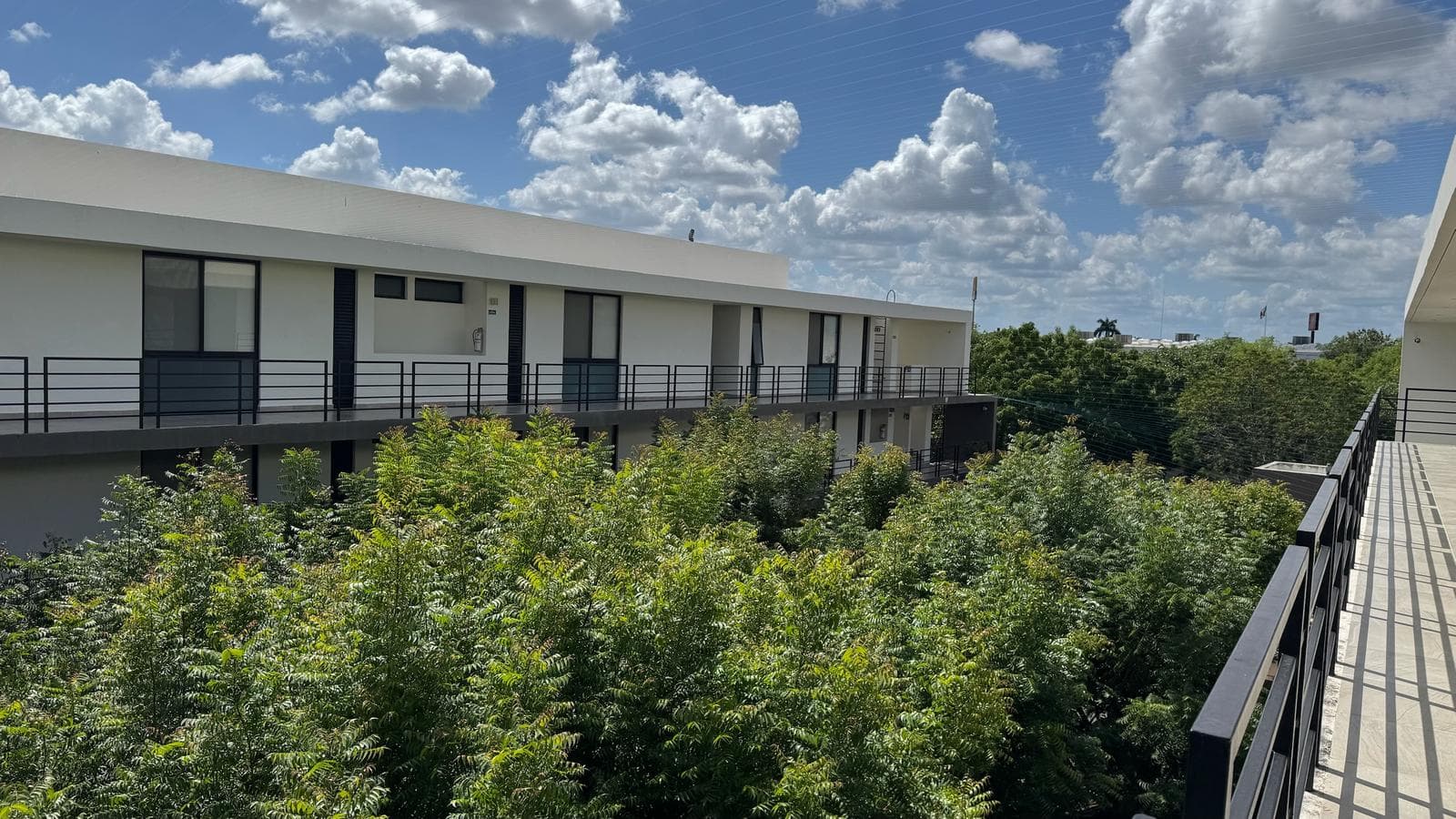 Apartment for Rent in Mérida