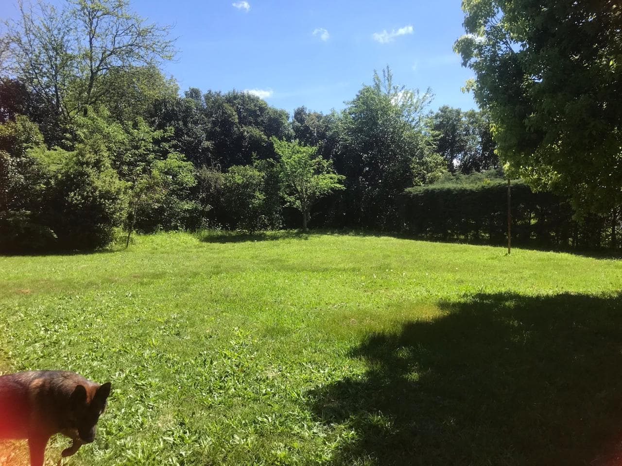 3,260 M² LOT FOR SALE - SUITABLE FOR DEVELOPMENT - BENAVIDEZ