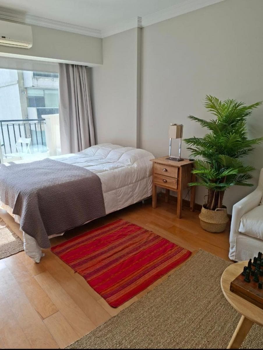 Apartment in Recoleta